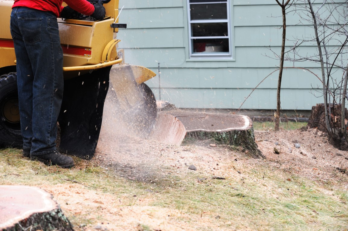An image of Stump Grinding Services in Terrytown LA